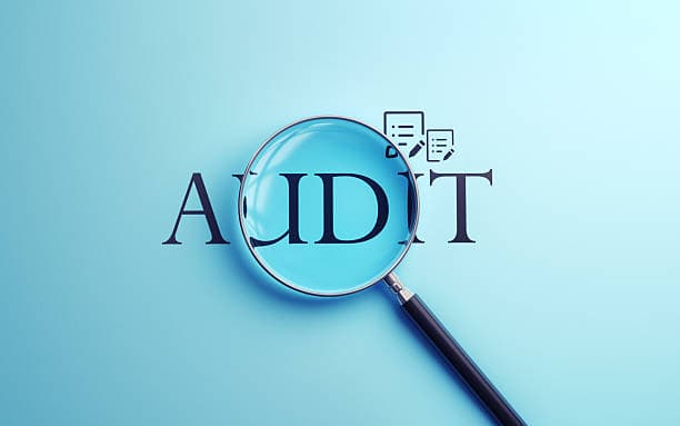 Audit & Assurance related image